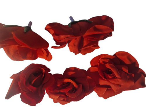 Red Rose Buds (5pk)